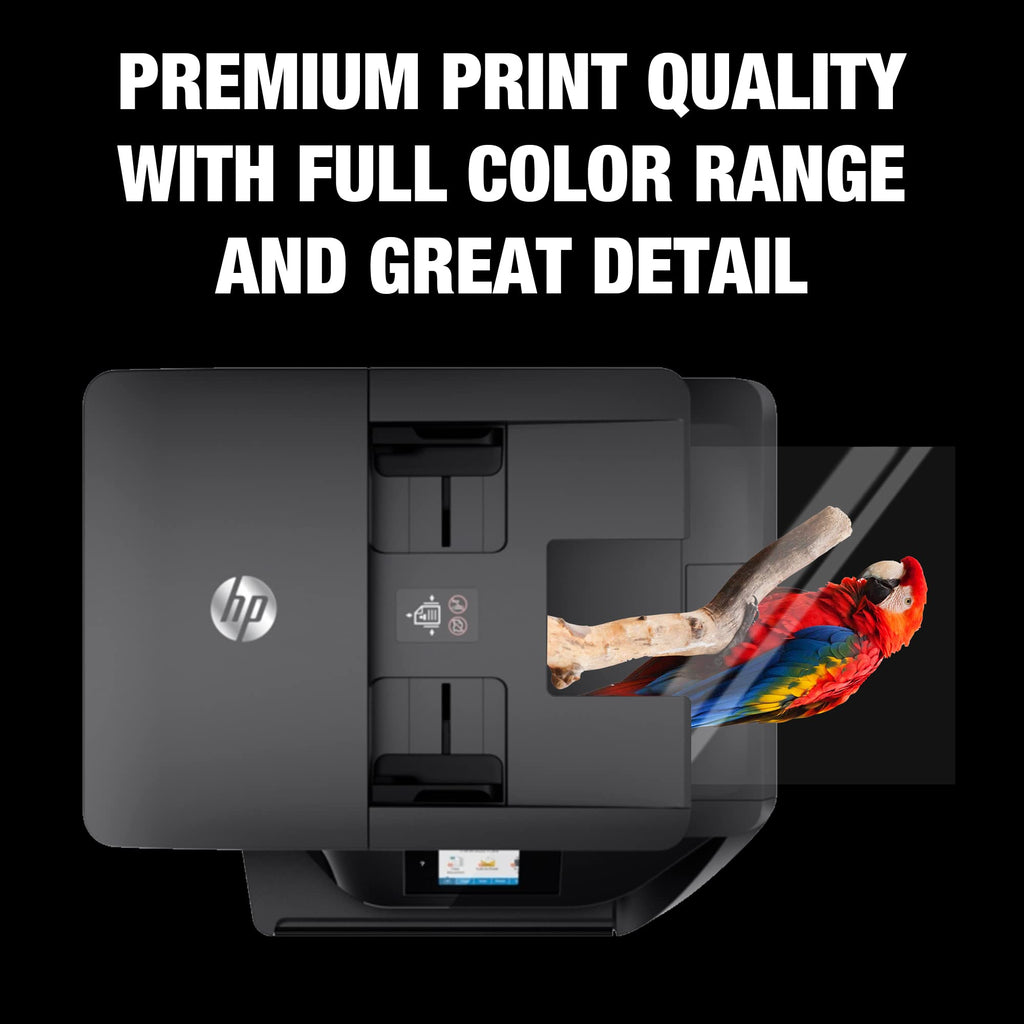 Samsill 100 Pack Transparent Printer Sheets, Projector Film, Clear Transparency Film for Laser Jet Printers, 8.5 x 11 Inch Sheets - Black Image Only,
