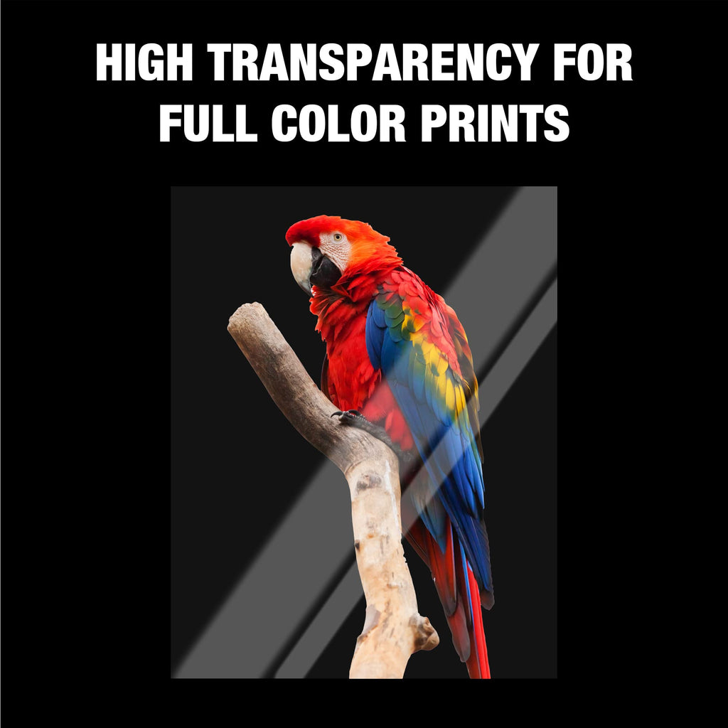 Samsill 100 Pack Transparent Printer Sheets, Projector Film, Clear Transparency Film for Laser Jet Printers, 8.5 x 11 Inch Sheets - Black Image Only,
